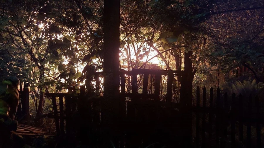 Атака на Київ: через влучання уламків загорілися приватний будинок і автомобілі, постраждала жінка