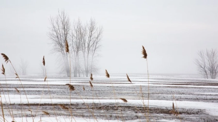 Початок тижня в Україні буде морозним та вітряним