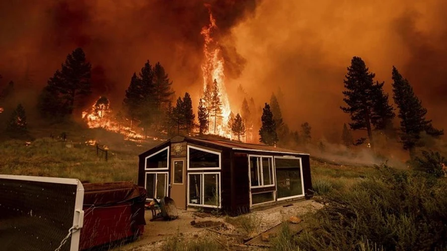 Захід США охопили масштабні пожежі