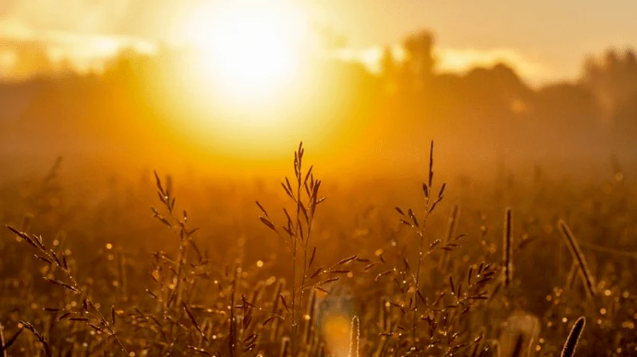 Липень 2021-го став найспекотнішим місяцем з будь-коли фіксованих — вчені уряду США