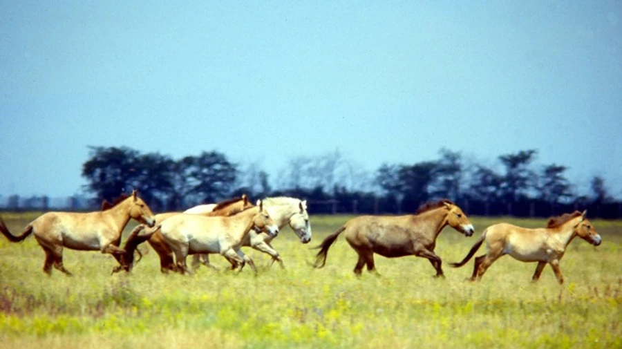 У заповіднику 