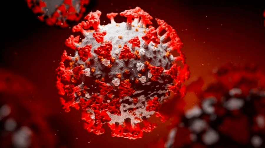 Індія побила власний COVID-рекорд з кількості нових хворих