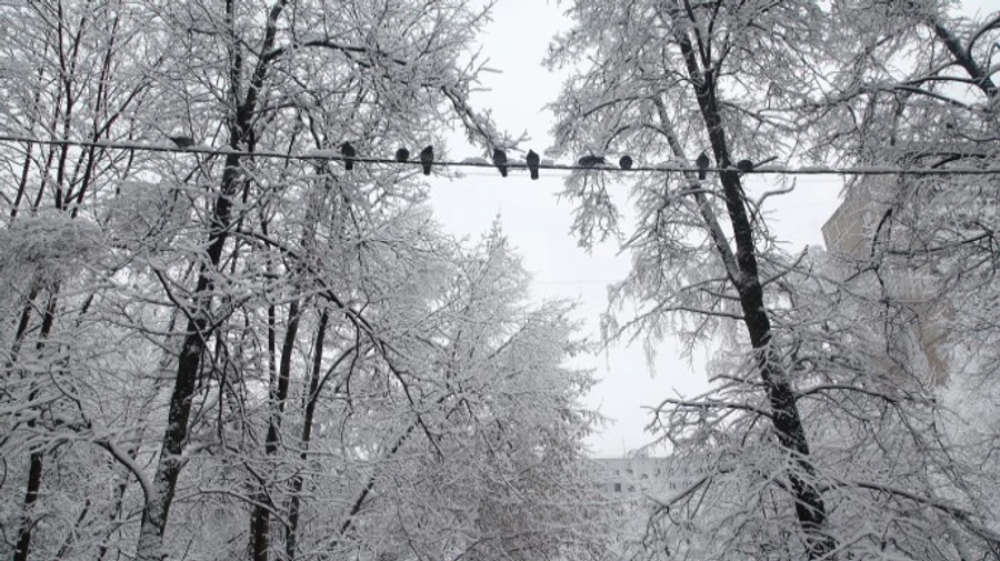 Через негоду знеструмлено понад 60 населених пунктів у трьох областях
