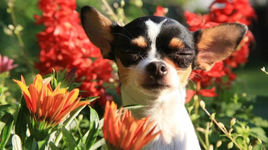 В Україну йде довгоочікуване потепління
