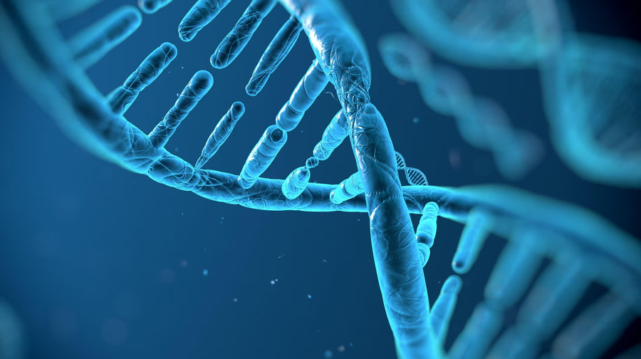 Велика Британія запускає проєкт зі створення синтетичного людського геному