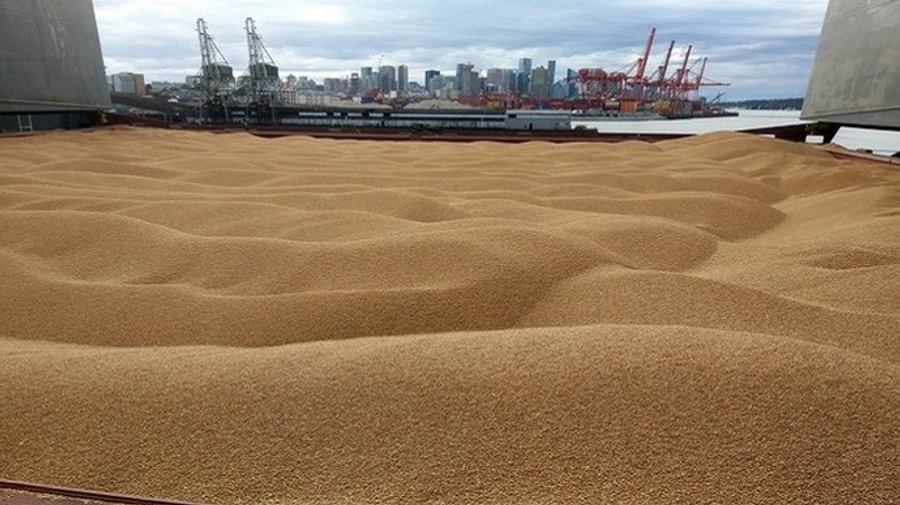 Росія вивозить крадене українське зерно в Туреччину –