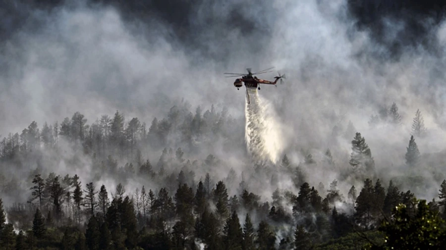 Через пожежі на італійському острові Сардинія евакуювали кілька сотень людей