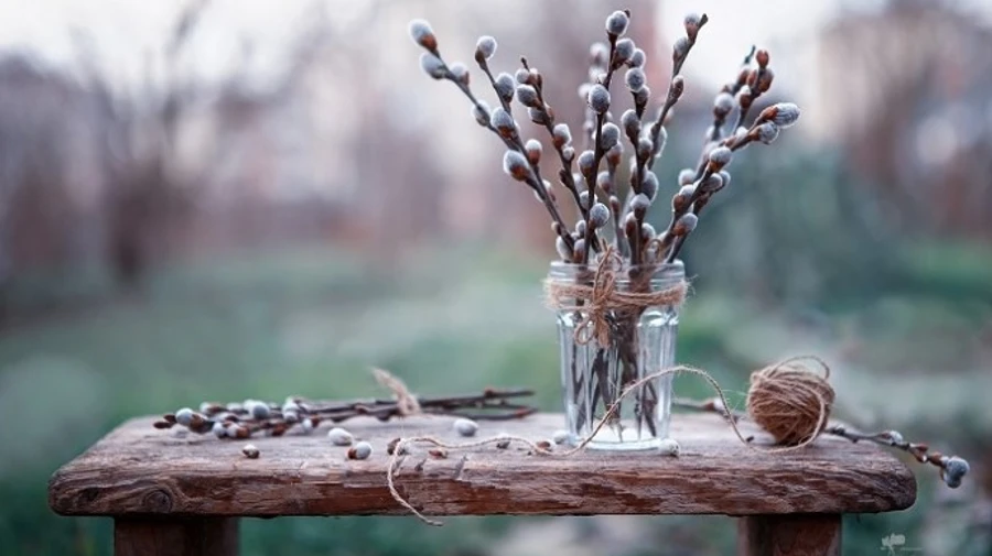 Погода у Вербну неділю: дощ та холод