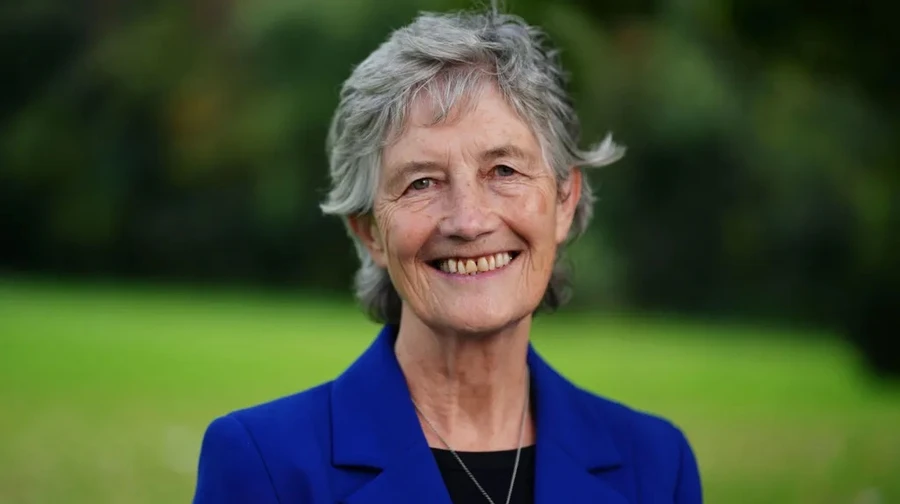 На президентських виборах в Ірландії перемогла ліва незалежна кандидатка