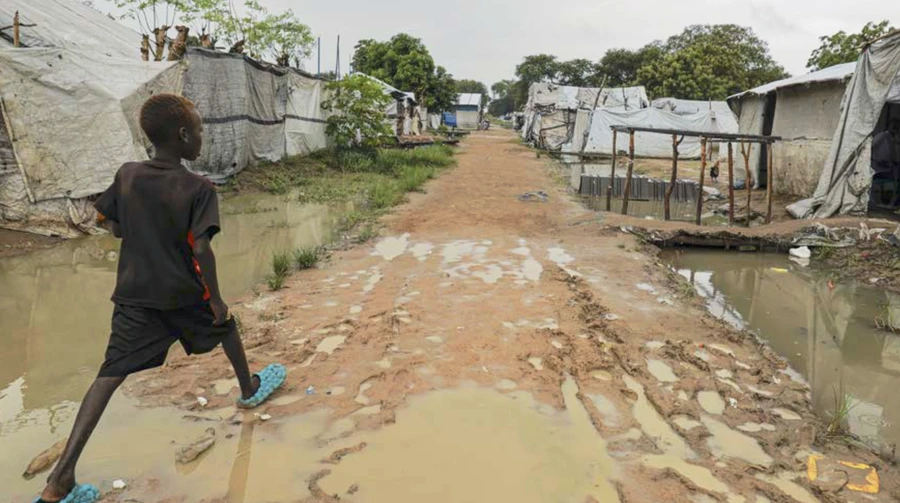 Кліматичні катастрофи змусили 250 млн людей залишити свої домівки за останні 10 років – звіт ООН