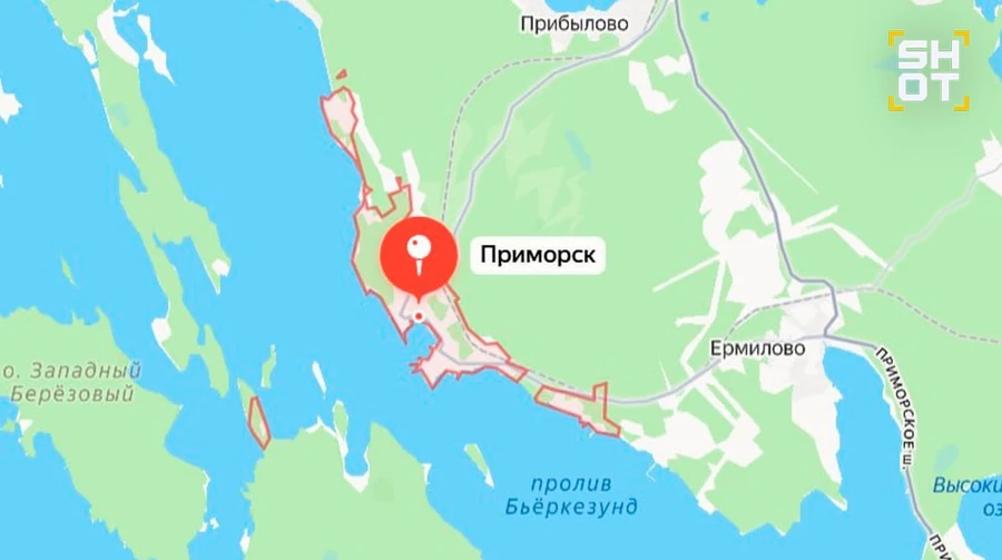 У Ленінградській області РФ заявили про масовану атаку дронів і пожежу в порту