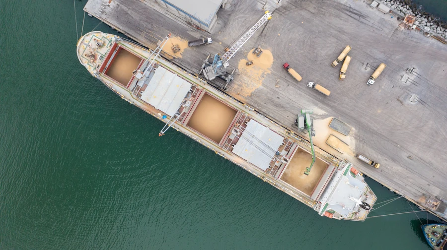 Турецький постачальник ООН купує вкрадене в Маріуполі зерно у російських виробників дронів – розслідування