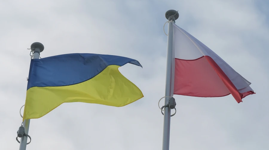 Польща розглядає пропозицію України щодо передачі МіГ-29